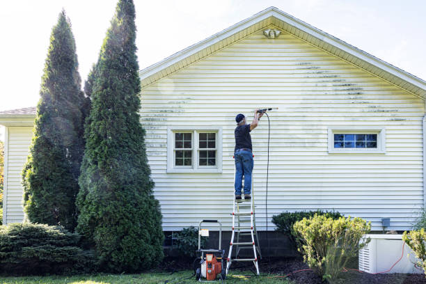 Best Roof Pressure Washing  in Hallettsville, TX