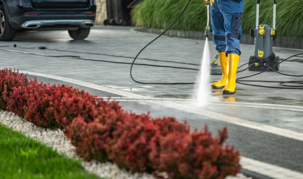 Best Deck Cleaning Services  in Hallettsville, TX