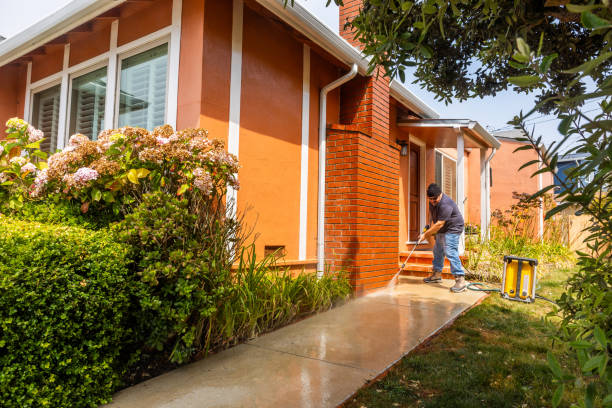 Best Commercial Building Pressure Washing  in Hallettsville, TX