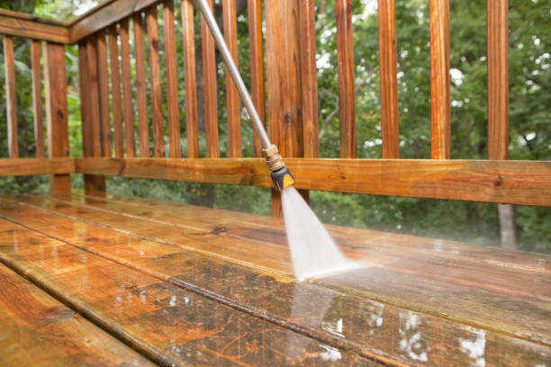 Best Exterior Home Cleaning  in Hallettsville, TX