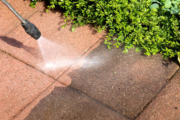 Best Pressure Washing Company Near Me  in Hallettsville, TX